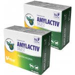 Vetfood Amylactiv Digest 2 x 30 kaps – Hledejceny.cz