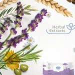 Bebble dětské vlhčené ubrousky s levandulí 64 ks – Hledejceny.cz