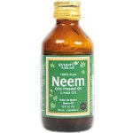 Neemový olej Ayuuri FUDCO 100 ml – Hledejceny.cz