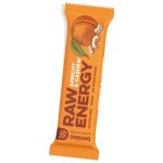 Bombus RAW energy 20x50 g – Zbozi.Blesk.cz