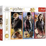 Trefl Harry Potter 13277 200 dílků – Hledejceny.cz