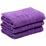 B.E.S. Petrovice Bavlněný froté ručník Classic - Fialový 50 x 100 cm – Hledejceny.cz