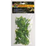 Zoo Med Amazonian Phyllo 36 cm – Hledejceny.cz
