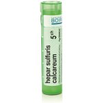 HEPAR SULFURIS CALCAREUM POR 5CH GRA 4G – Hledejceny.cz