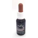 4betterlife Cinamonum kapky 20 ml – Hledejceny.cz