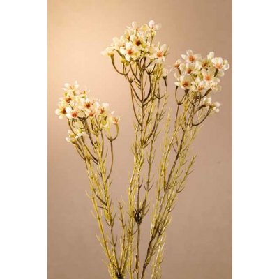 Paramit DRY WAX FLOWER Aranžovací květina bílá 78 cm – Zboží Dáma