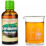 Bylinné kapky Korálovec ježatý Hericium 50 ml – Hledejceny.cz