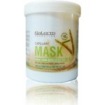 Salerm Capillary mask maska z pšeničných klíčků 1000 ml – Zbozi.Blesk.cz