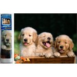 Norimpex Diamantové malování Roztomilé trio 30 x 40 cm – Sleviste.cz