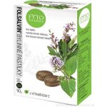 Fytopharma FOLSALVIN bylinné pastilky s vitamínem C 30 ks – Hledejceny.cz
