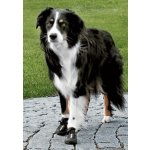 Trixie Boty ochranné Walker Active 2ks – Zbozi.Blesk.cz