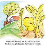 Zatoulané kuřátko – Hledejceny.cz