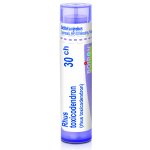 RHUS TOXICODENDRON POR 30CH GRA 4G – Hledejceny.cz