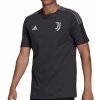 Pánské Tričko adidas pánské tričko Juventus Turín 20/21 TG