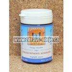 TCM Herbs Baldachýnová komnata 100 tablet – Hledejceny.cz
