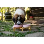 JK ANIMALS keramická miska YUMMY pro psy růžová 16,5 cm 850 ml – Hledejceny.cz