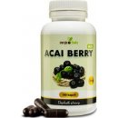 Doplněk stravy Energie života ACAI Berry extrakt prášek 100 g