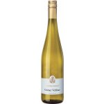 Schwanberg Grüner Veltliner Niederösterreich 2024 12% 0,75 l (holá láhev) – Hledejceny.cz