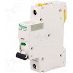 Schneider Electric A9F03116 – Zbozi.Blesk.cz