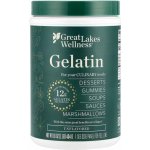 Prášková želatina Great Lakes Wellness bez příchuti 454 g – Hledejceny.cz