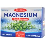 TEREZIA MAGNESIUM + vitamin B6 a meduňka Limitovaná edice 120 + 30 kapslí – Hledejceny.cz