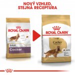 Royal Canin Cocker Adult 3 kg – Sleviste.cz