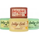 HIPPOTONIC Lolly Lick mint eucalyptus 0,7 kg – Hledejceny.cz
