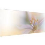 Obraz - Jemný květ, jednodílný 120x50 cm – Hledejceny.cz