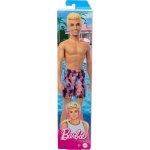 Mattel Barbie Beach Ken 23 – Hledejceny.cz