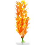 JK Orange ludwigia 18-21 cm – Zboží Mobilmania