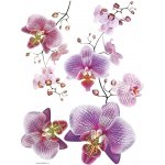 AG Design F0466 Samolepicí dekorace BLOSSOM PINK rozměry 65 x 85 cm – Sleviste.cz