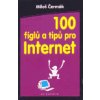 Kniha 100 fíglů a tipů pro Internet - Čermák, Miloš