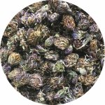 Bylinca Jetel červený květ 200 g – Zboží Dáma