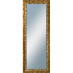 DANTIK ZVRATNÁ 60x160 cm zlatá 2888 – Hledejceny.cz