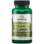 Swanson Full Spectrum Boswellia and Curcumin 300 mg 60 kapslí – Hledejceny.cz