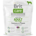 Brit Care Grain Free Adult Large Breed Salmon & Potato 1 kg – Hledejceny.cz