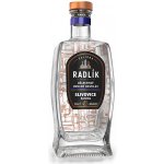 Radlík Slivovice Karlátka 45% 0,5 l (holá láhev) – Zboží Dáma