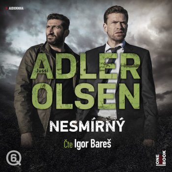 Nesmírný - Jussi Adler-Olsen, Igor Bareš