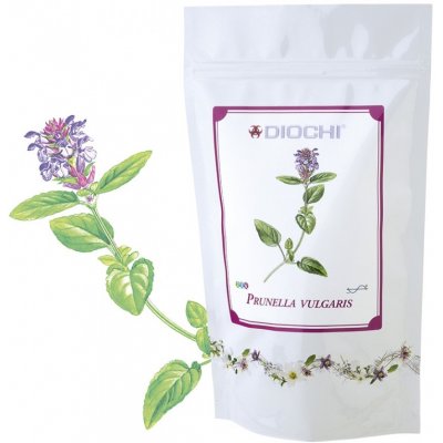 Diochi Prunella vulgaris čaj 100 g – Zboží Mobilmania