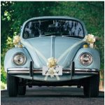 Paris Dekorace Svatební sada na auto ivory – Zboží Mobilmania