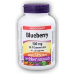 Webber Naturals Borůvky blueberry 500 mg 120 kapslí – Hledejceny.cz