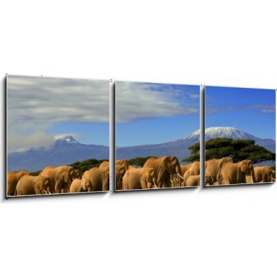 Obraz 3D třídílný - 150 x 50 cm - Kilimanjaro And Elephants Kilimanjaro a sloni – Zbozi.Blesk.cz