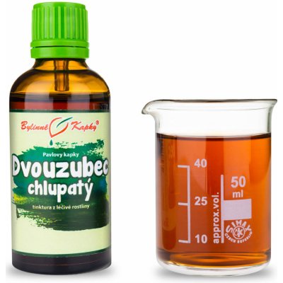 Bylinné kapky Dvouzubec chlupatý pilový tinktura 50 ml – Hledejceny.cz