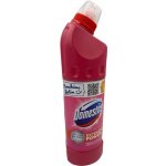 Domestos Pink fresh 750 ml – HobbyKompas.cz