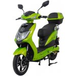 Racceway E-Fichtl 250W 12Ah zelená metalická | Zboží Auto
