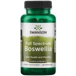 Swanson Boswellia Double Strenght 800 mg 60 kapslí – Hledejceny.cz