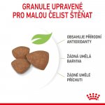 Royal Canin Mini Puppy 4 kg – Hledejceny.cz