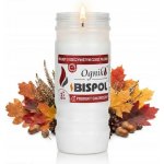Bispol OGNIK 200 g – Hledejceny.cz