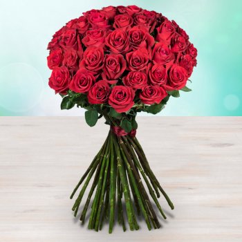 Rozvoz květin: Metrové červené růže - 90cm (XXL) - cena za 1ks - Mladá Boleslav
