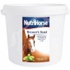 Vitamín pro koně Nutri Horse Kvasnice plv new 2 kg